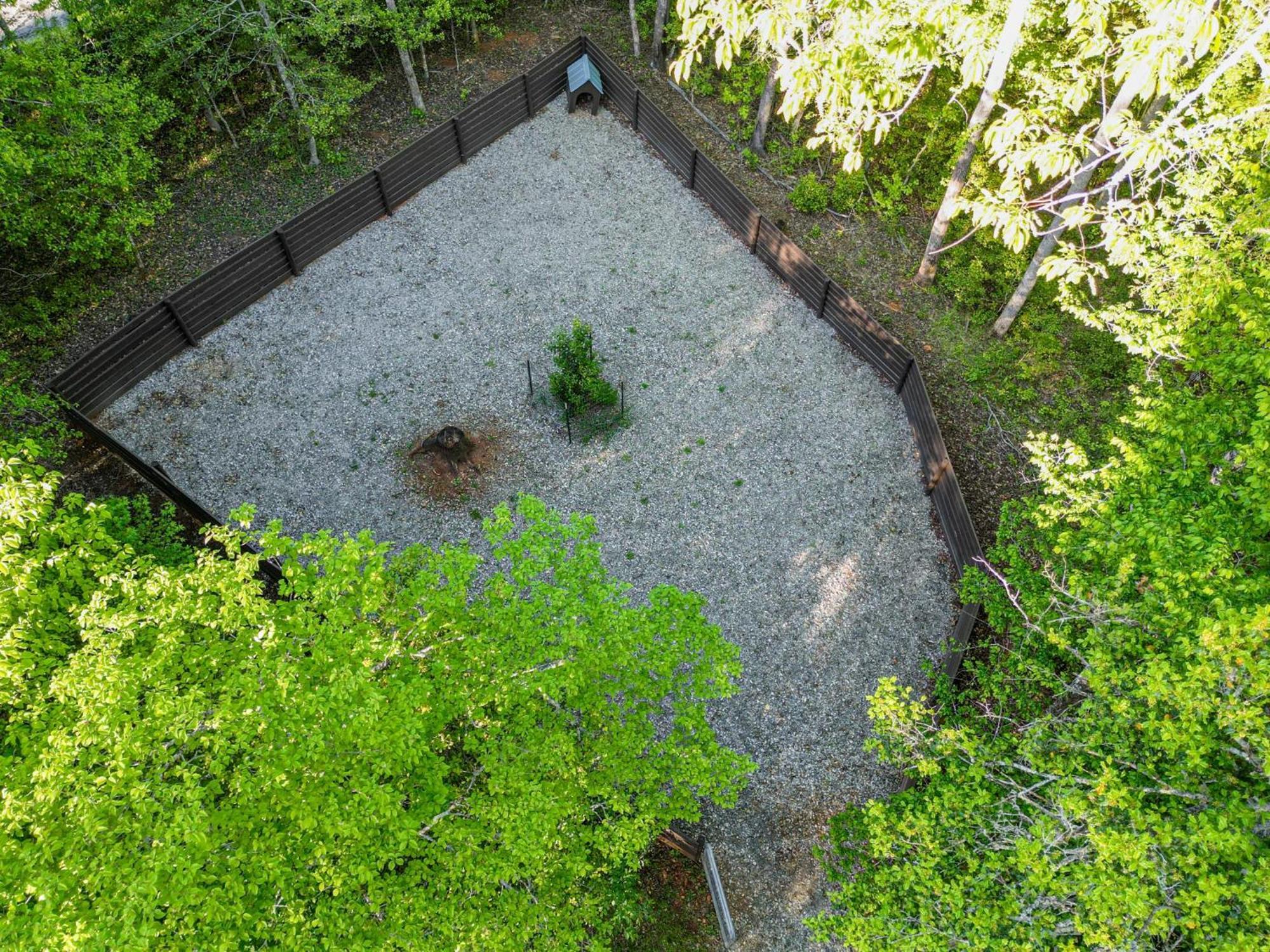 The Big Little Cabin - Hot Tub & Playground Dahlonega Luaran gambar